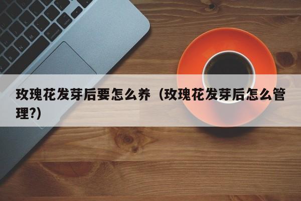 玫瑰花发芽后要怎么养（玫瑰花发芽后怎么管理?）