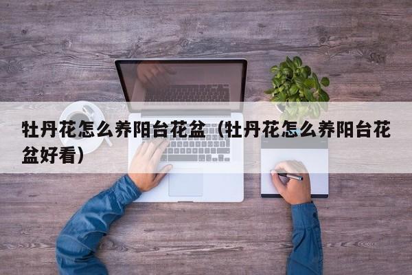牡丹花怎么养阳台花盆（牡丹花怎么养阳台花盆好看）