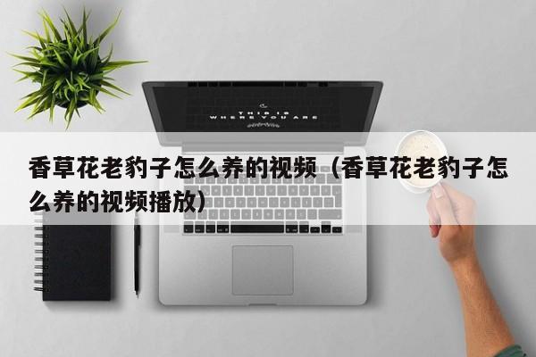 香草花老豹子怎么养的视频（香草花老豹子怎么养的视频播放）