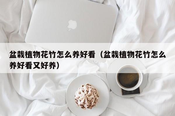 盆栽植物花竹怎么养好看（盆栽植物花竹怎么养好看又好养）