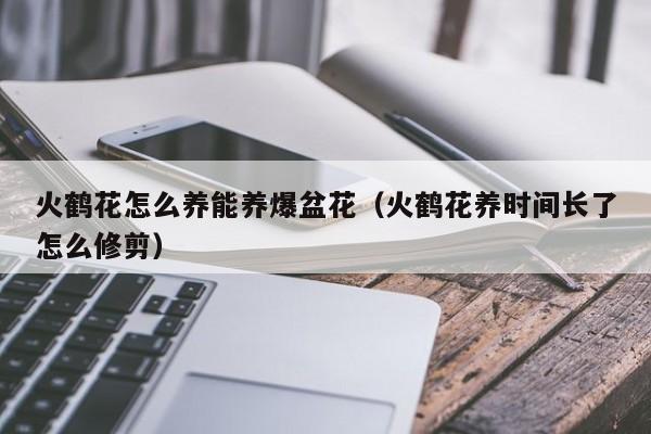 火鹤花怎么养能养爆盆花（火鹤花养时间长了怎么修剪）
