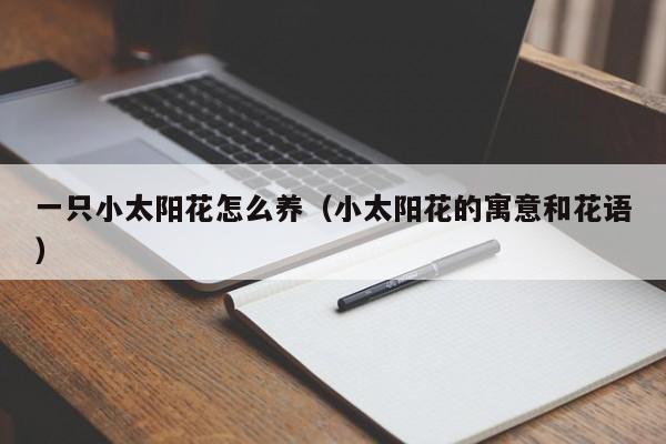 一只小太阳花怎么养（小太阳花的寓意和花语）