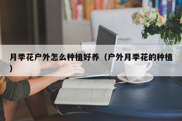 月季花户外怎么种植好养（户外月季花的种植）