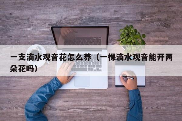 一支滴水观音花怎么养（一棵滴水观音能开两朵花吗）