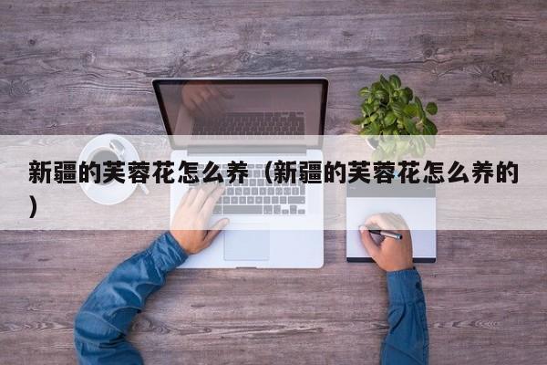 新疆的芙蓉花怎么养（新疆的芙蓉花怎么养的）