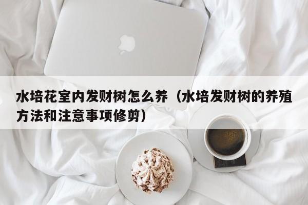 水培花室内发财树怎么养（水培发财树的养殖方法和注意事项修剪）