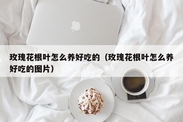玫瑰花根叶怎么养好吃的（玫瑰花根叶怎么养好吃的图片）
