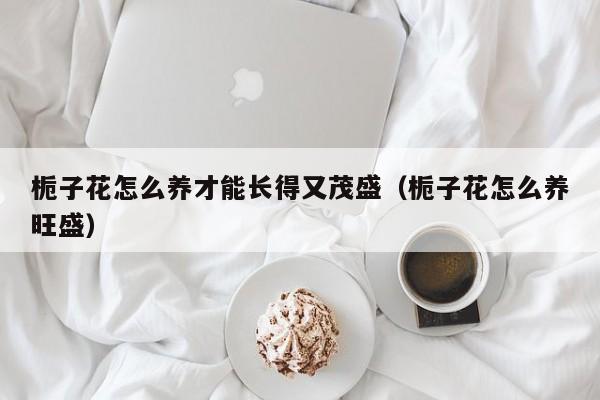 栀子花怎么养才能长得又茂盛（栀子花怎么养旺盛）