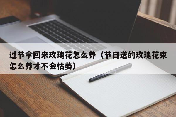 过节拿回来玫瑰花怎么养（节日送的玫瑰花束怎么养才不会枯萎）