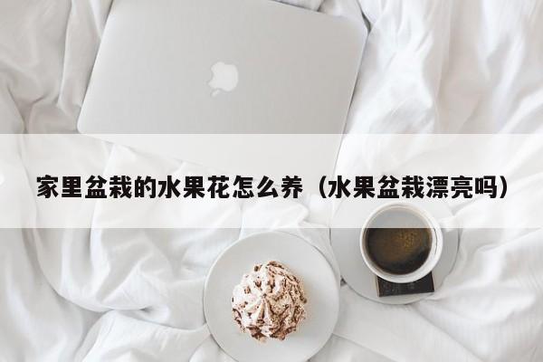 家里盆栽的水果花怎么养（水果盆栽漂亮吗）