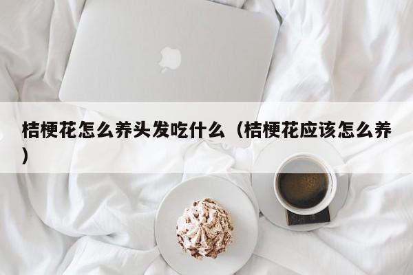 桔梗花怎么养头发吃什么（桔梗花应该怎么养）