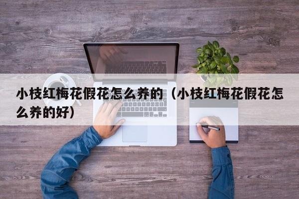小枝红梅花假花怎么养的（小枝红梅花假花怎么养的好）