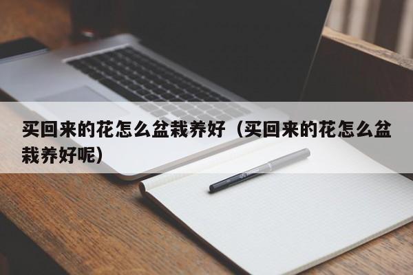 买回来的花怎么盆栽养好（买回来的花怎么盆栽养好呢）