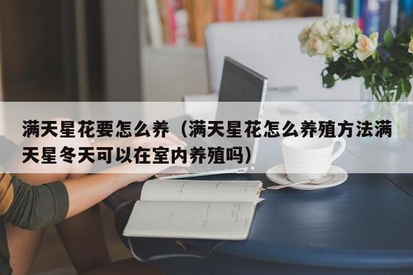 满天星花要怎么养（满天星花怎么养殖方法满天星冬天可以在室内养殖吗）