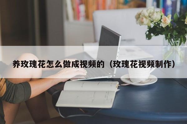 养玫瑰花怎么做成视频的（玫瑰花视频制作）
