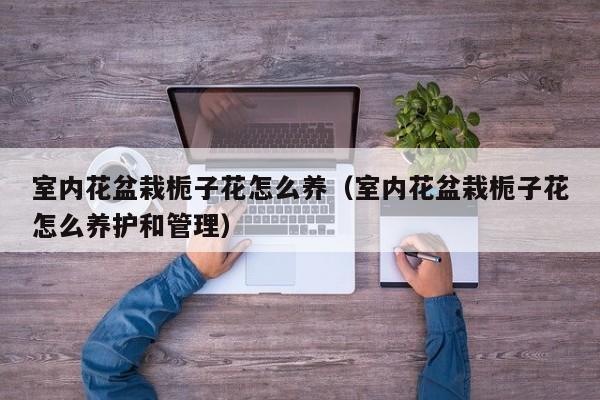 室内花盆栽栀子花怎么养（室内花盆栽栀子花怎么养护和管理）