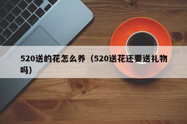 520送的花怎么养（520送花还要送礼物吗）
