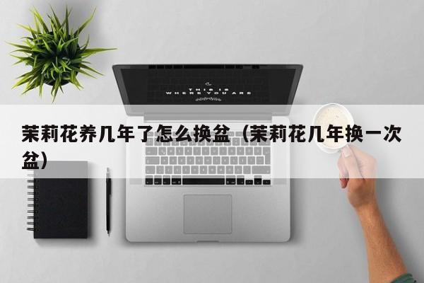 茉莉花养几年了怎么换盆（茉莉花几年换一次盆）