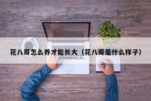 花八哥怎么养才能长大（花八哥是什么样子）