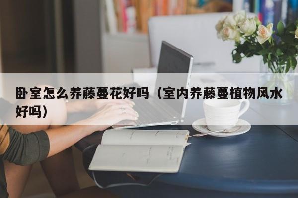 卧室怎么养藤蔓花好吗（室内养藤蔓植物风水好吗）