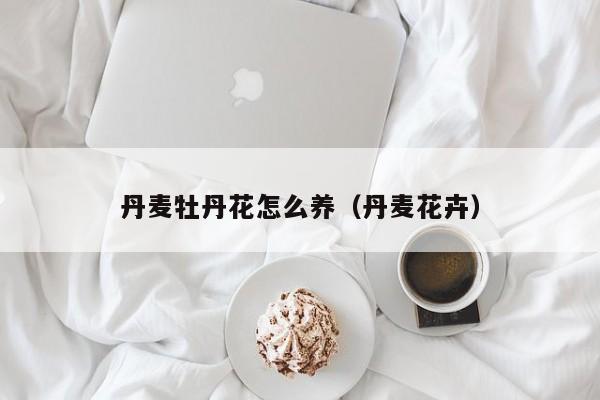 丹麦牡丹花怎么养（丹麦花卉）