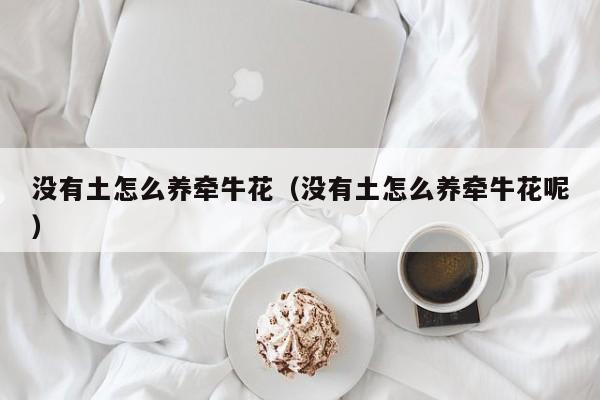 没有土怎么养牵牛花（没有土怎么养牵牛花呢）