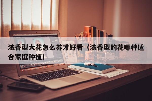 浓香型大花怎么养才好看（浓香型的花哪种适合家庭种植）