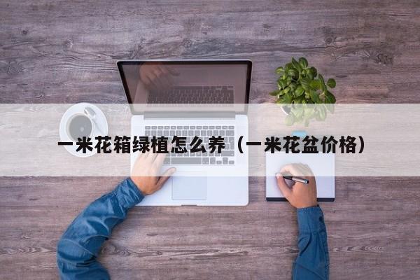 一米花箱绿植怎么养（一米花盆价格）