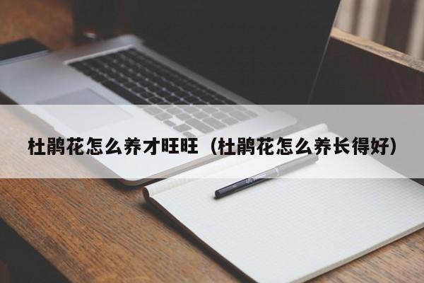 杜鹃花怎么养才旺旺（杜鹃花怎么养长得好）