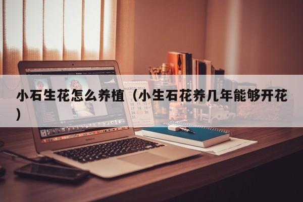 小石生花怎么养植（小生石花养几年能够开花）
