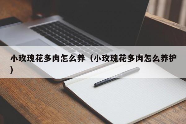 小玫瑰花多肉怎么养（小玫瑰花多肉怎么养护）