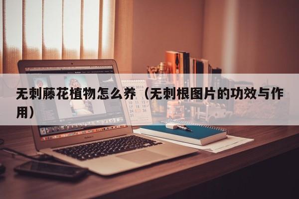 无刺藤花植物怎么养（无刺根图片的功效与作用）