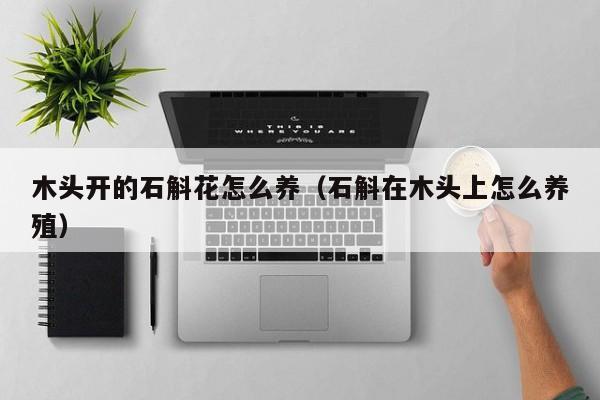 木头开的石斛花怎么养（石斛在木头上怎么养殖）
