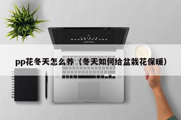 pp花冬天怎么养（冬天如何给盆栽花保暖）