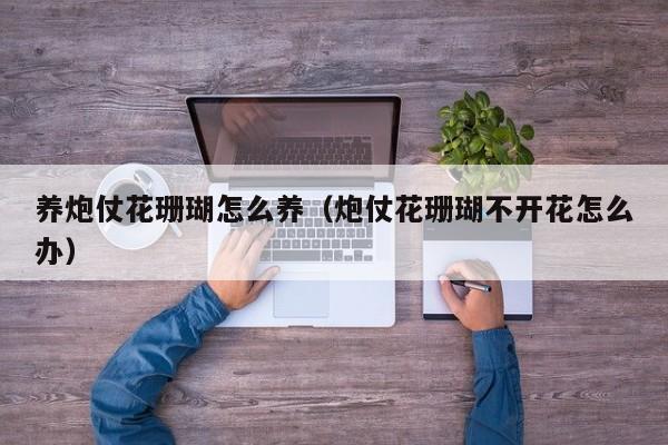 养炮仗花珊瑚怎么养（炮仗花珊瑚不开花怎么办）