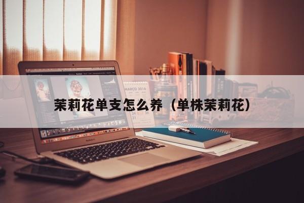 茉莉花单支怎么养（单株茉莉花）