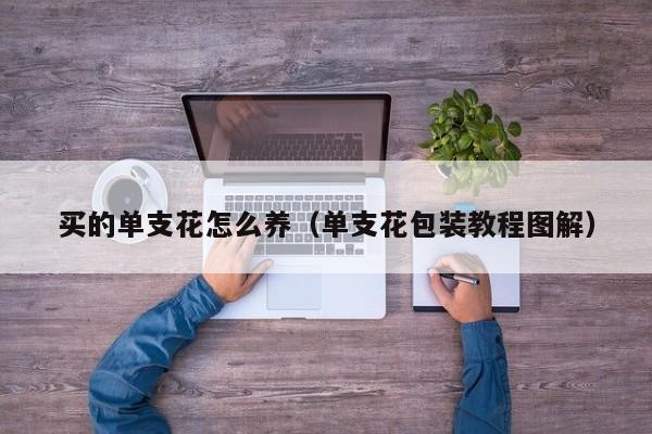 买的单支花怎么养（单支花包装教程图解）