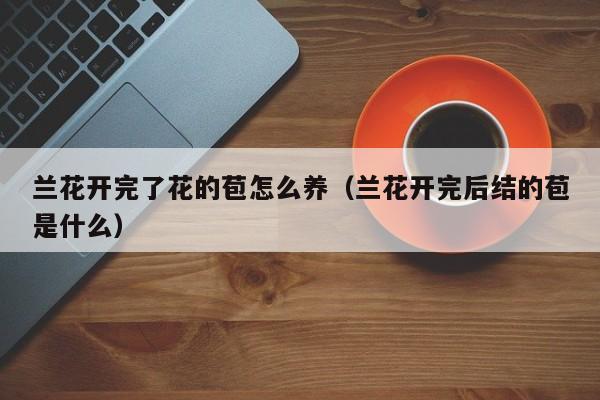 兰花开完了花的苞怎么养（兰花开完后结的苞是什么）