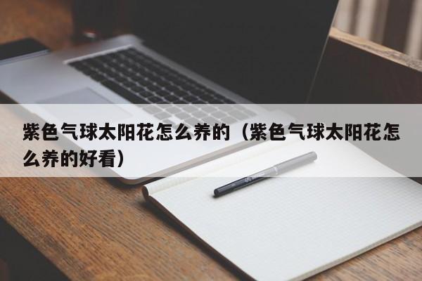 紫色气球太阳花怎么养的（紫色气球太阳花怎么养的好看）
