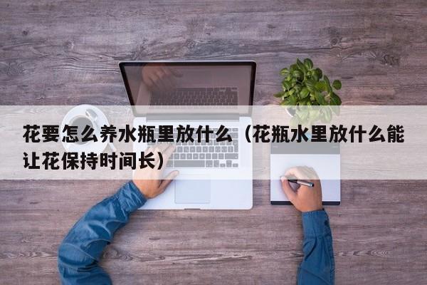 花要怎么养水瓶里放什么（花瓶水里放什么能让花保持时间长）