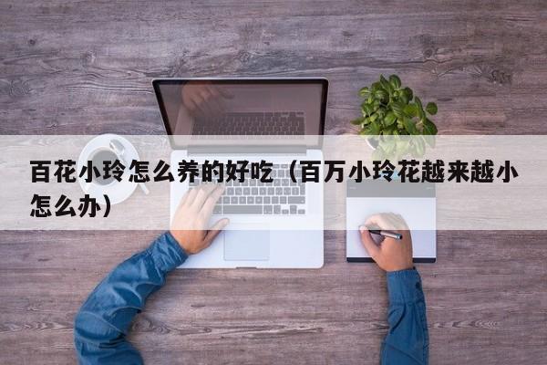 百花小玲怎么养的好吃（百万小玲花越来越小怎么办）