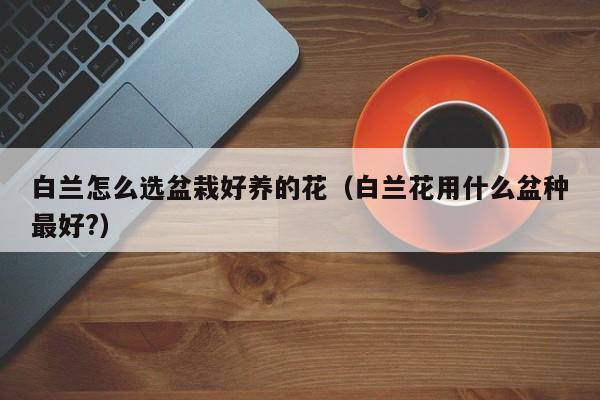 白兰怎么选盆栽好养的花（白兰花用什么盆种最好?）
