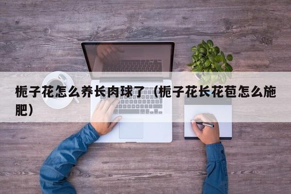 栀子花怎么养长肉球了（栀子花长花苞怎么施肥）