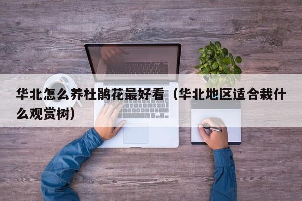 华北怎么养杜鹃花最好看（华北地区适合栽什么观赏树）