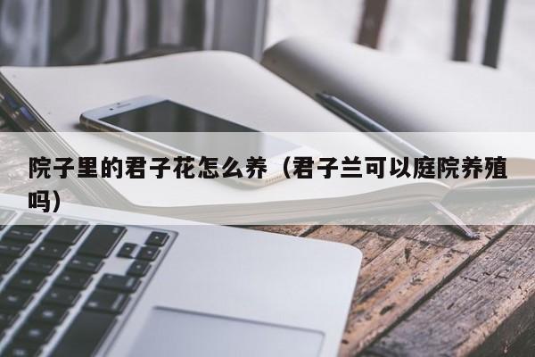 院子里的君子花怎么养（君子兰可以庭院养殖吗）