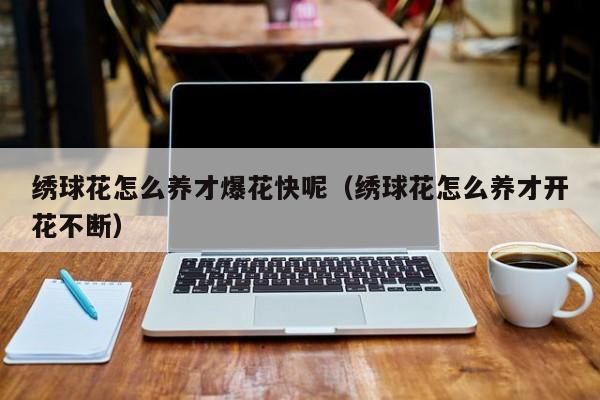 绣球花怎么养才爆花快呢（绣球花怎么养才开花不断）