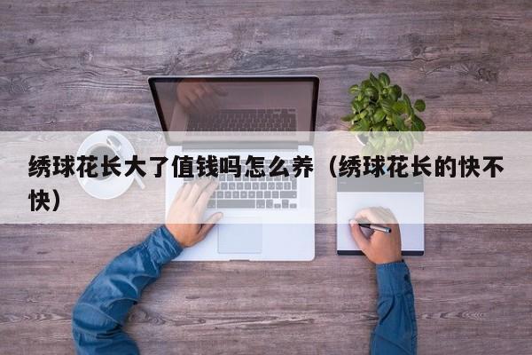 绣球花长大了值钱吗怎么养（绣球花长的快不快）