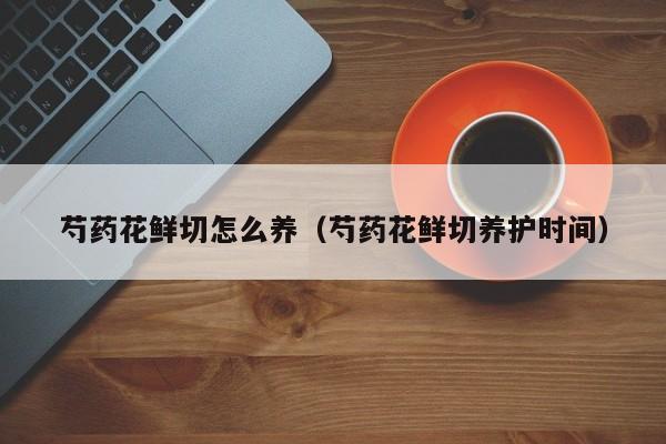 芍药花鲜切怎么养（芍药花鲜切养护时间）