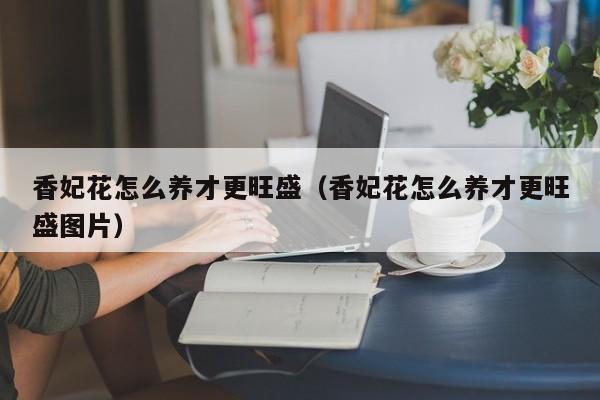 香妃花怎么养才更旺盛（香妃花怎么养才更旺盛图片）