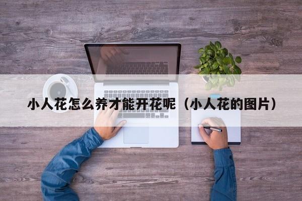 小人花怎么养才能开花呢（小人花的图片）